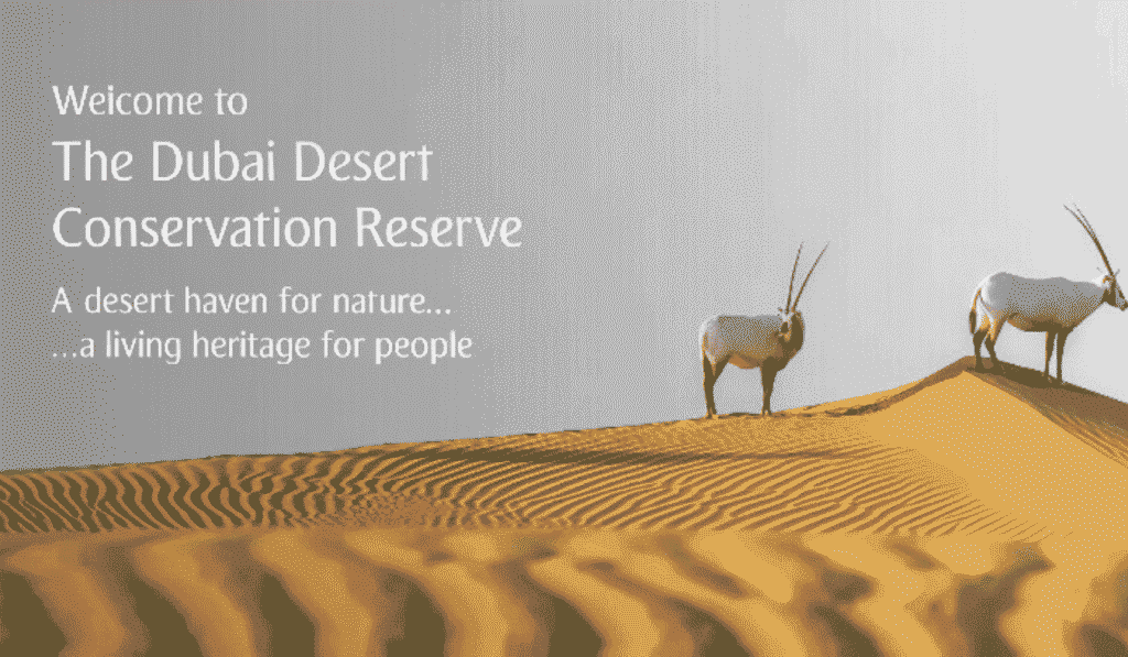 UAE’s National Parks