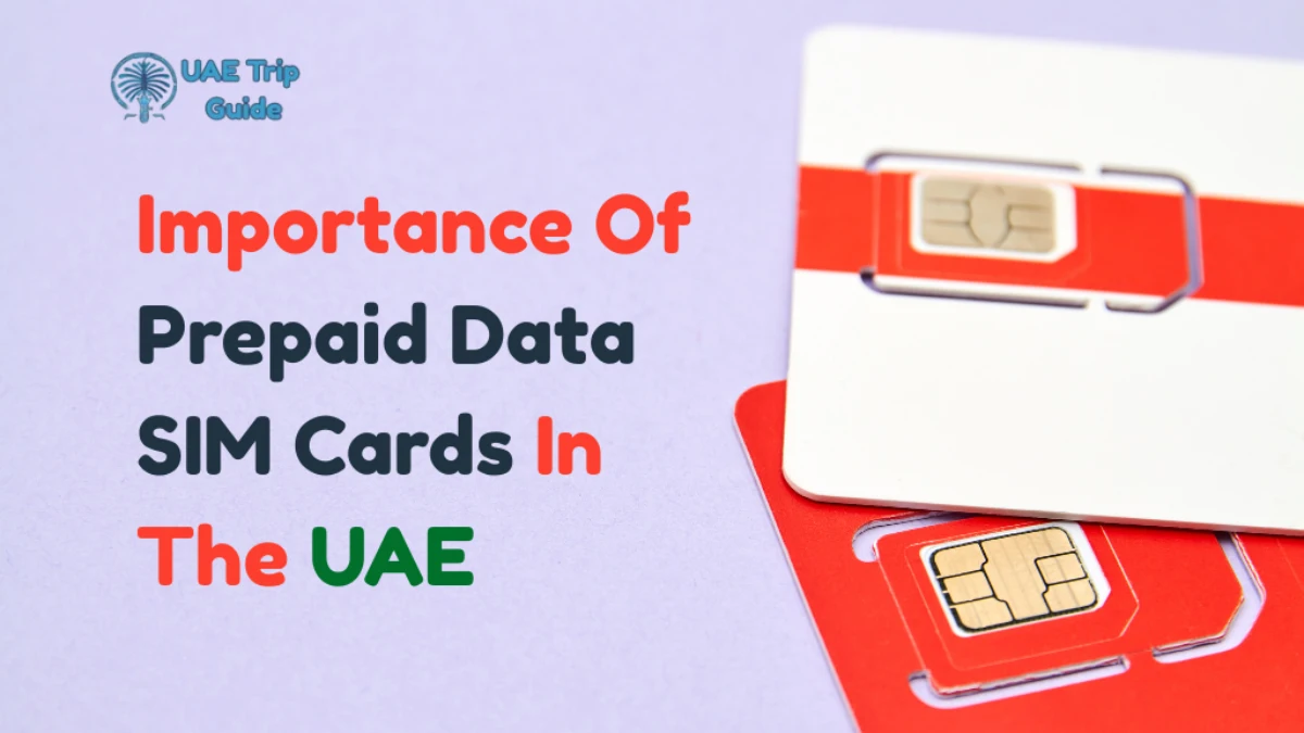 Prepaid Data SIM Cards