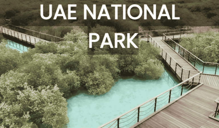 UAE’s National Parks