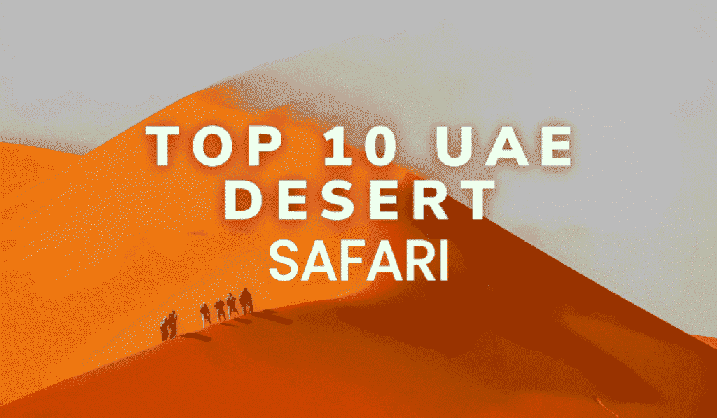 Adventure Activities in the UAE Deserts