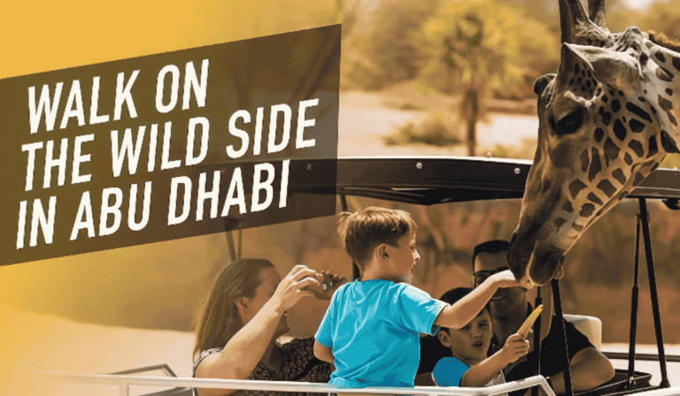 Wildlife Encounters in the UAE