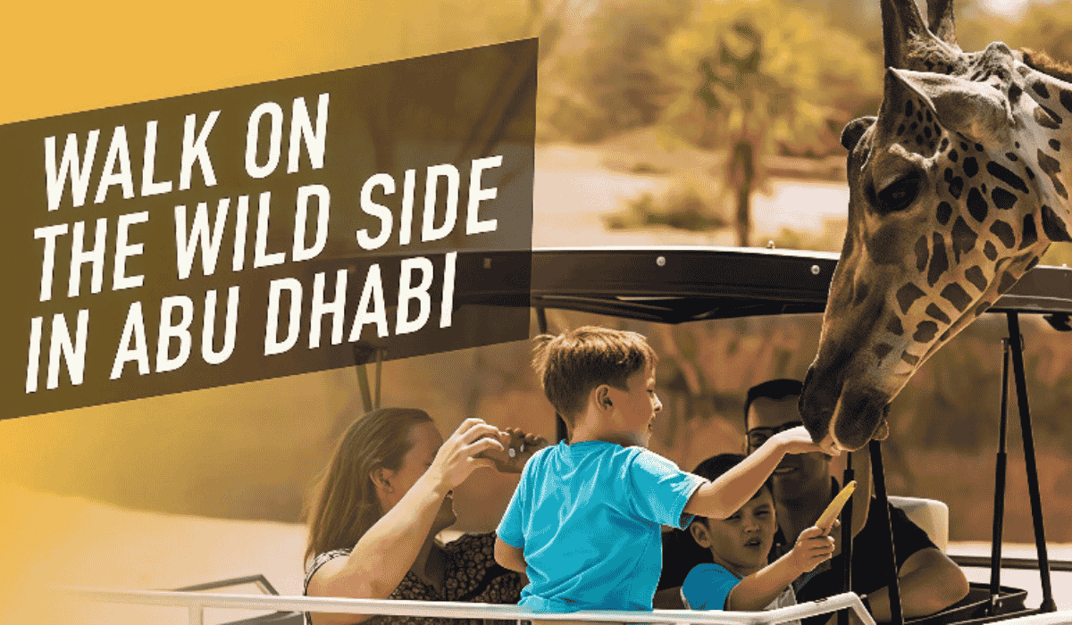 Wildlife Encounters in the UAE